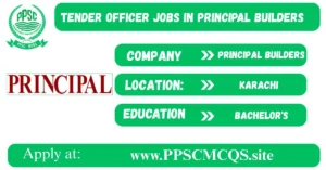 Tender Officer Jobs